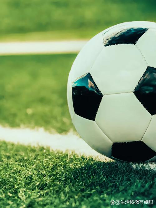 赛事预测爱好者场景